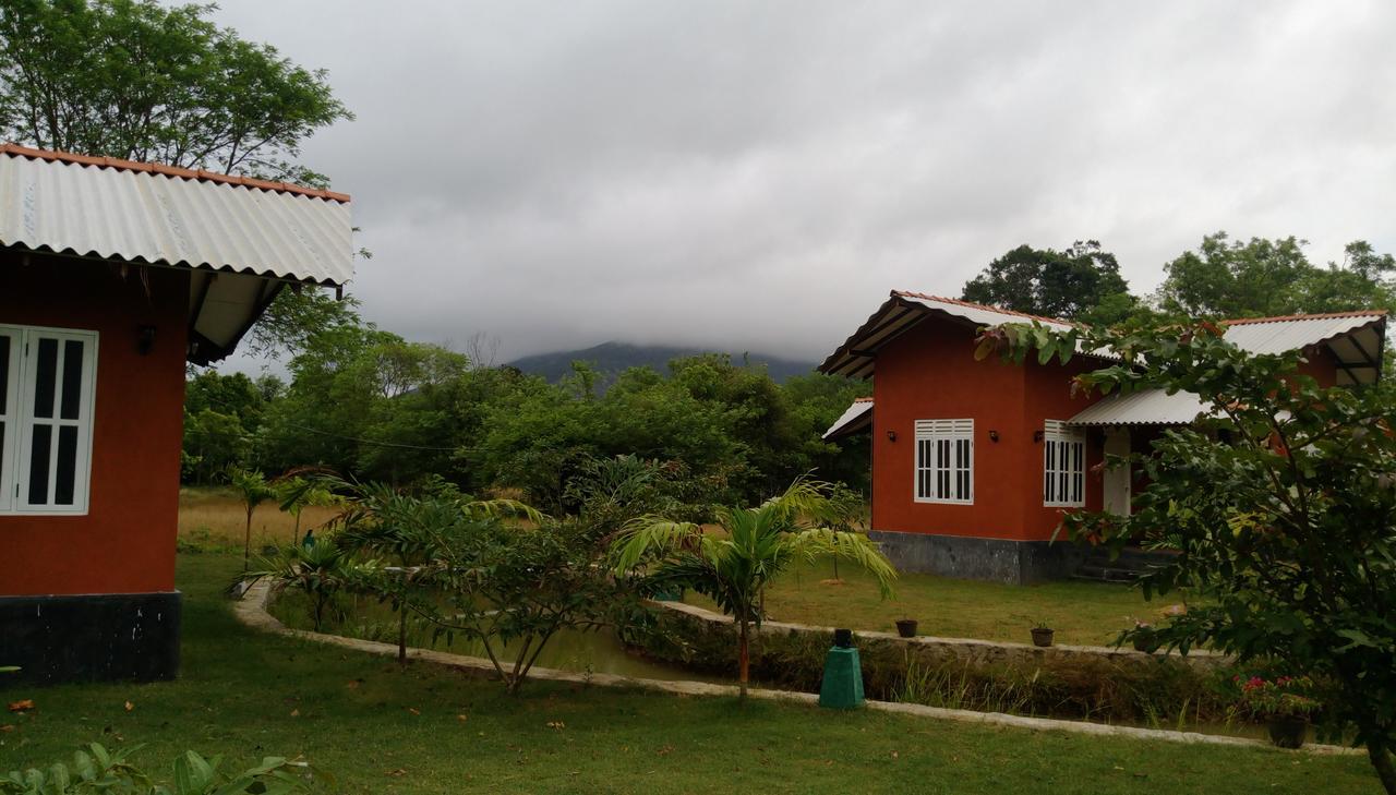 Ritigala Lodge Habarana Exterior photo